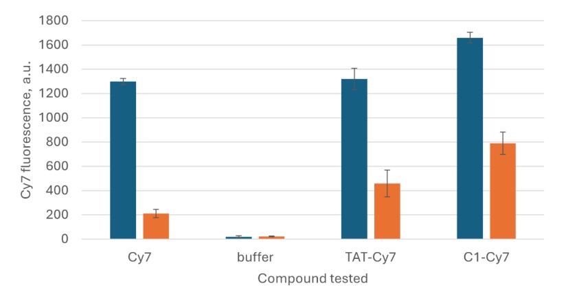 Fig.3 Evaluation of blood-brain barrier permeability of C1-Cy7 and TAT-Cy7. (OA Literature)