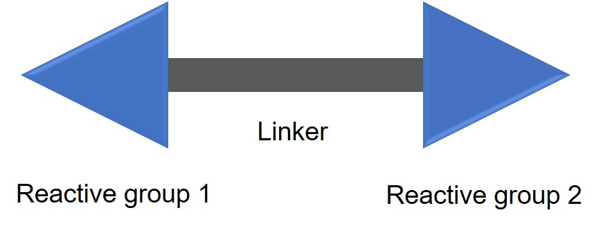 Fig.1 The general design of a homobifunctional crosslinking agent. (Creative Biolabs Original)