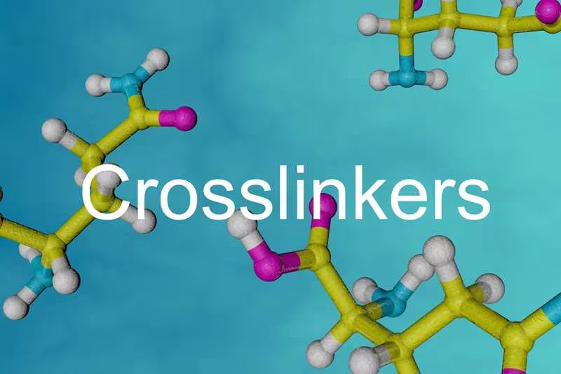 Fig.1 (Creative Biolabs Authorized)