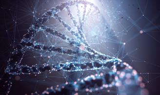 Fig.6 (Creative Biolabs Authorized)