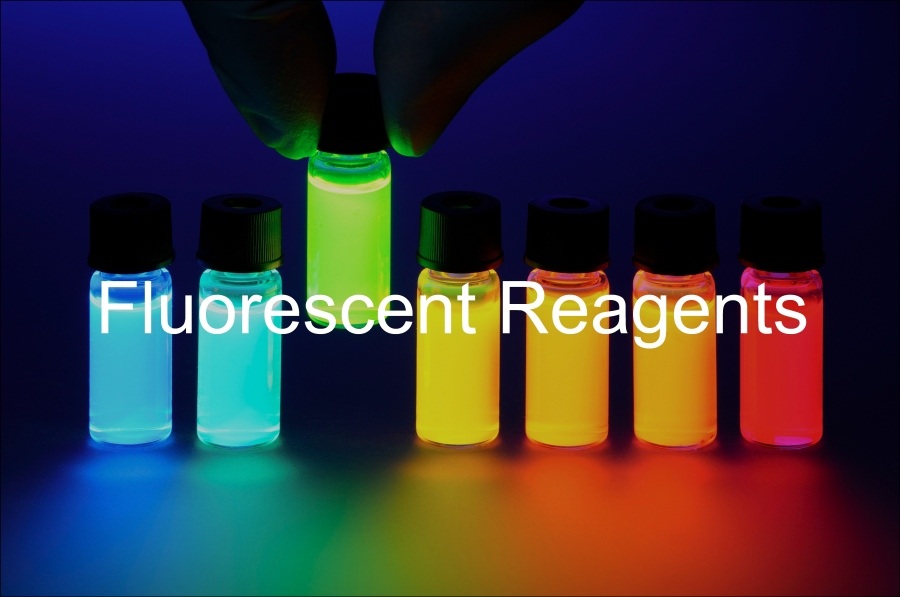 Fig.2 (Creative Biolabs Authorized)