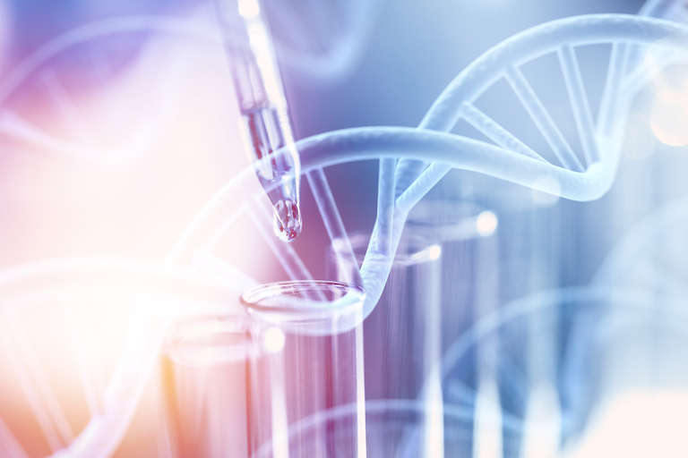 Scientific visualization of oligonucleotide conjugation