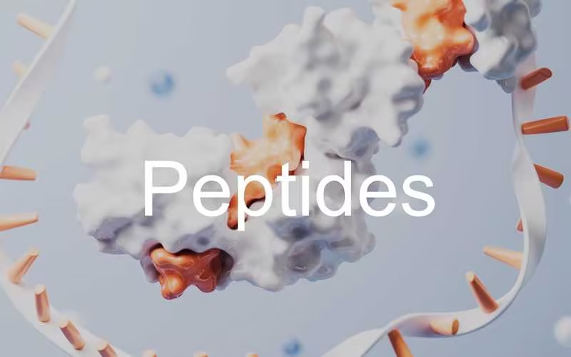 Fig.3 (Creative Biolabs Authorized)