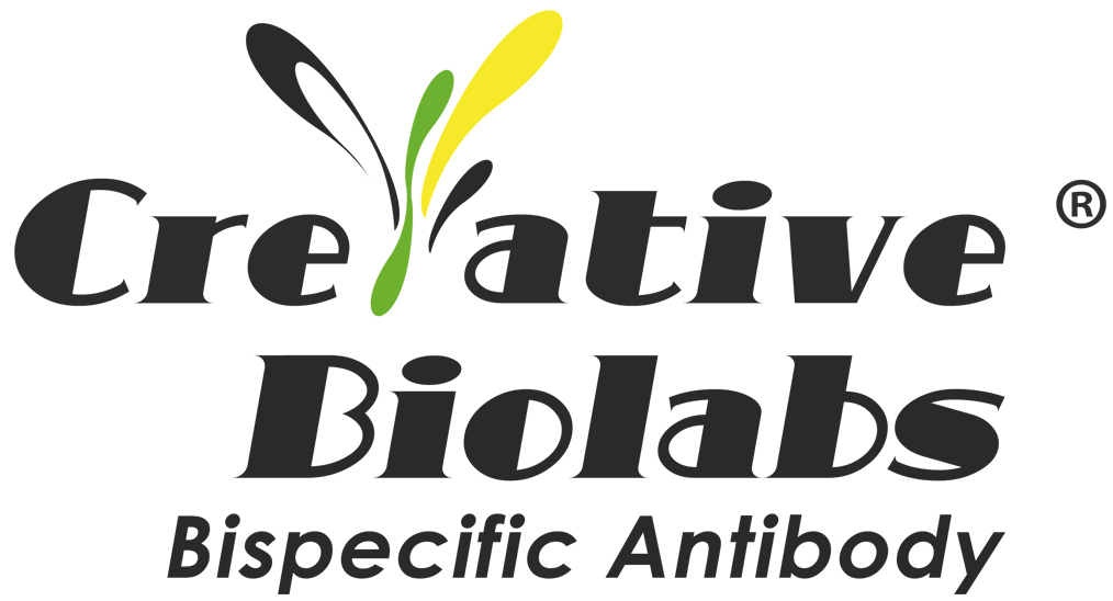 Creative Biolabs Bispecific Antibody Blog