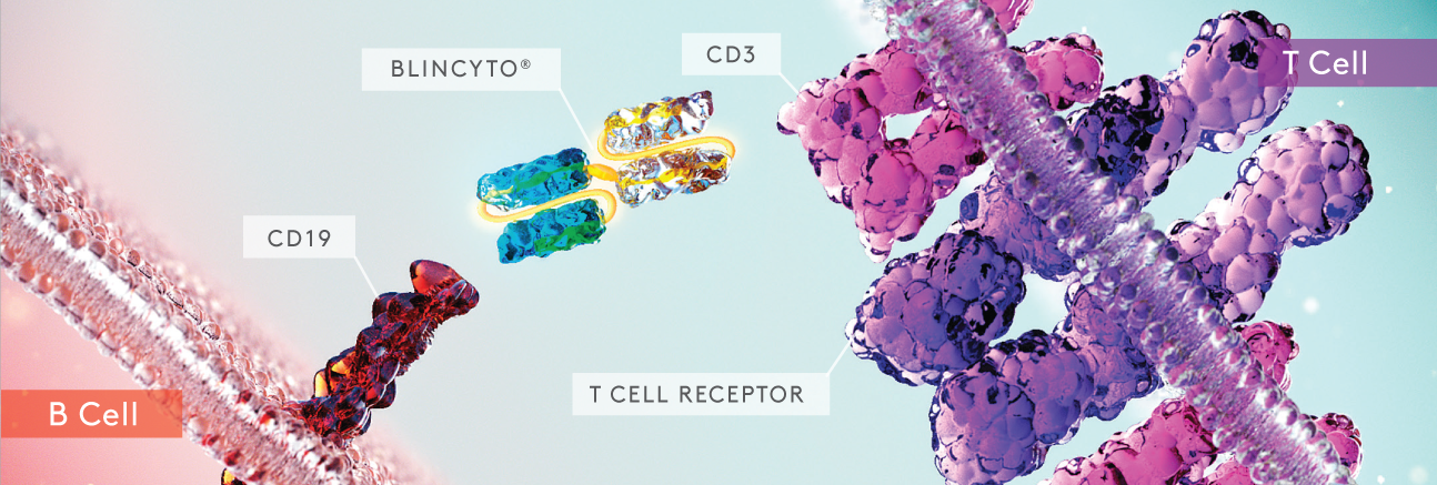 Amgen Bispecific Antibody BLINCYTO blinatumomab Significantly 