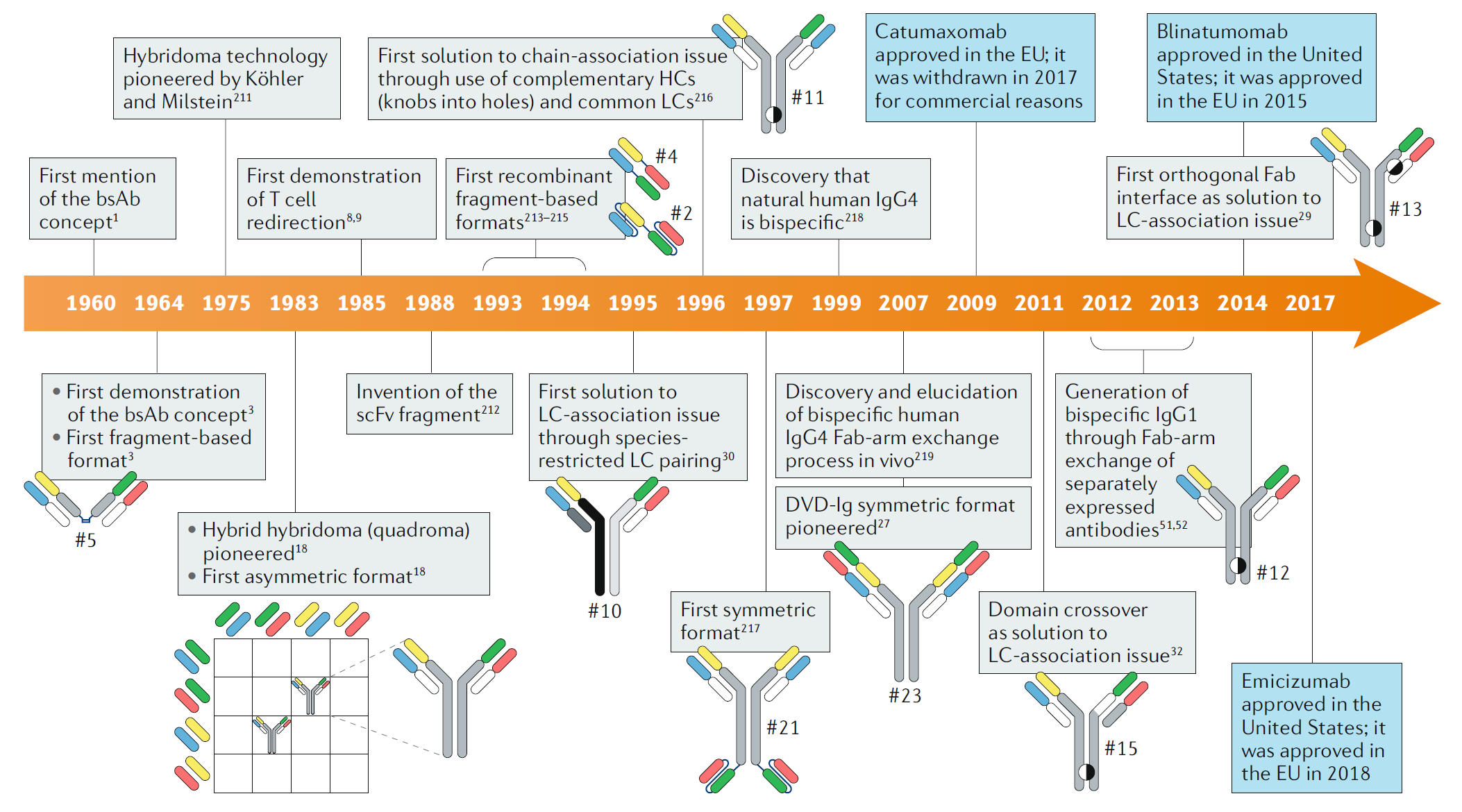 Fig. 1 Timeline of conceptual and technical innovations contributing to the development of the therapeutic bsAb landscape. (Labrijn, 2019)