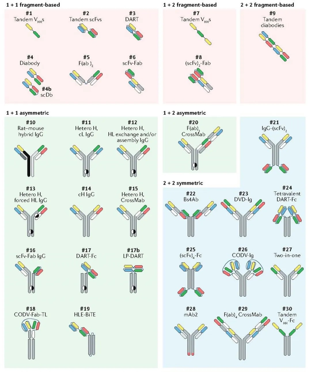 Fig. 2 A selection of bsAb formats. (Labrijn, 2019)