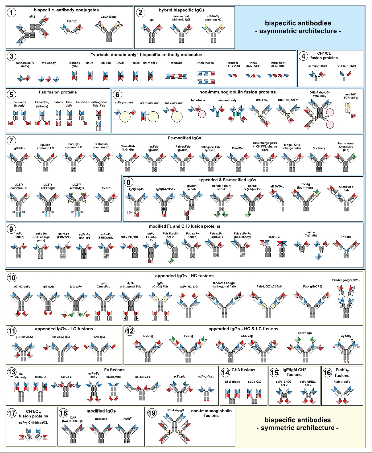 Fig. 1 The zoo of bispecific antibody formats Overview of bispecific antibody formats reduced to practice, grouped into molecules with symmetric or asymmetric architecture. (Brinkmann, 2017)