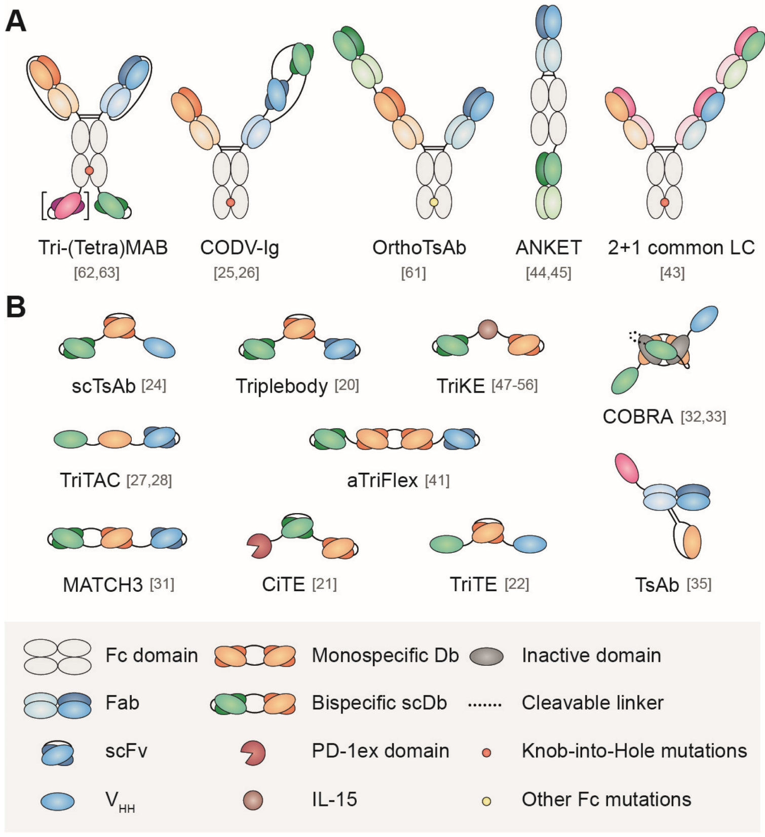 Fig. 1 Schematic representation of some formats of multispecific antibodies with (A) or without (B) Fc domain (Tapia-Galisteo, 2023)