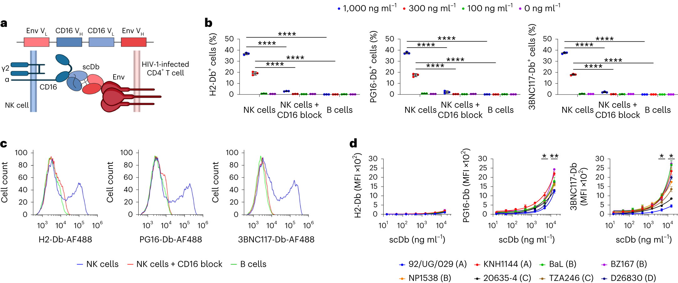 Advancing HIV-1 Therapy: Bispecific Antibodies to Enhance Latent ...