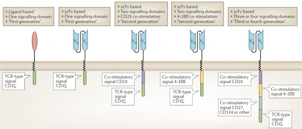 Figure 1. Chimeric antigen receptor design and evolution (Fesnak, 2016)