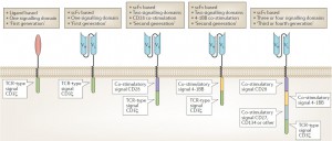 What the Next Generation T Cell Therapy Looks Like – Creative Biolabs ...