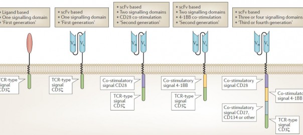 Figure 1. Chimeric antigen receptor design and evolution