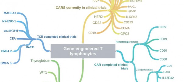 gene-engineered T cell immunotherapy of cancer