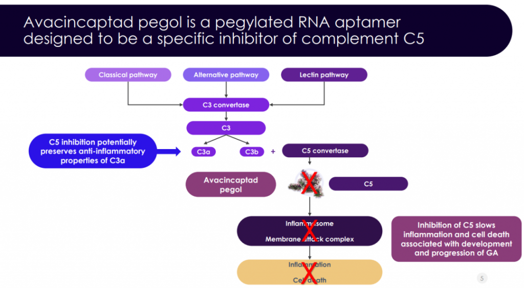 Complement C5 Inhibitor Receives Priority Review by the FDA for