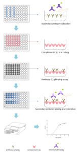 Cdc Complement Complement-Dependent Cytotoxicity (CDC) – Creative Biolabs Complement ...