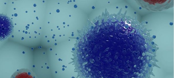 exosome-characterization