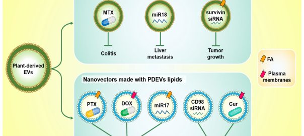 Plant-Derived-Exosome-Development-A-Research-Grade-Roadmap(OA Literature)