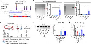 Gene Therapy for Hemophilia B Using Viral and Non-Viral Vectors ...
