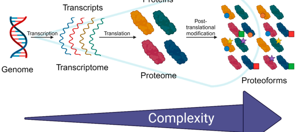 Glycoproteomics Quantitative Analysis: Measuring Site Occupancy and Glycoform Dynamics in Real Samples(OA Literature)