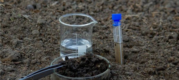 soil-analysis-creative-biolabs
