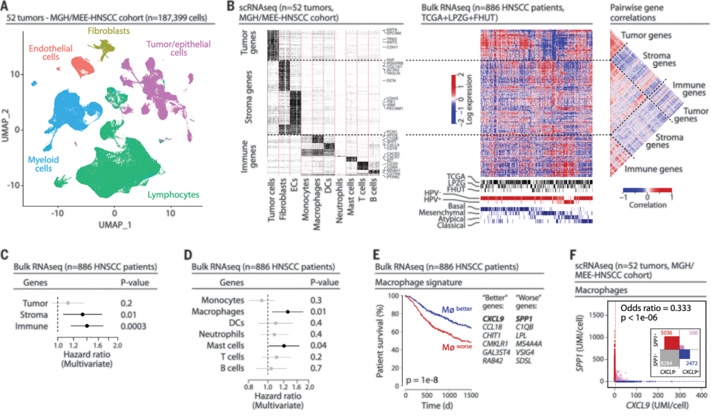 Scientists Reveal a Unique Mechanism of Gene Expression Coordination in ...