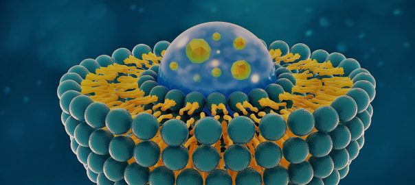 nano-delivery system – Creative Biolabs Vaccine Blog