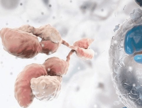 Target Based BsAb Design (Creative Biolabs Authorized)