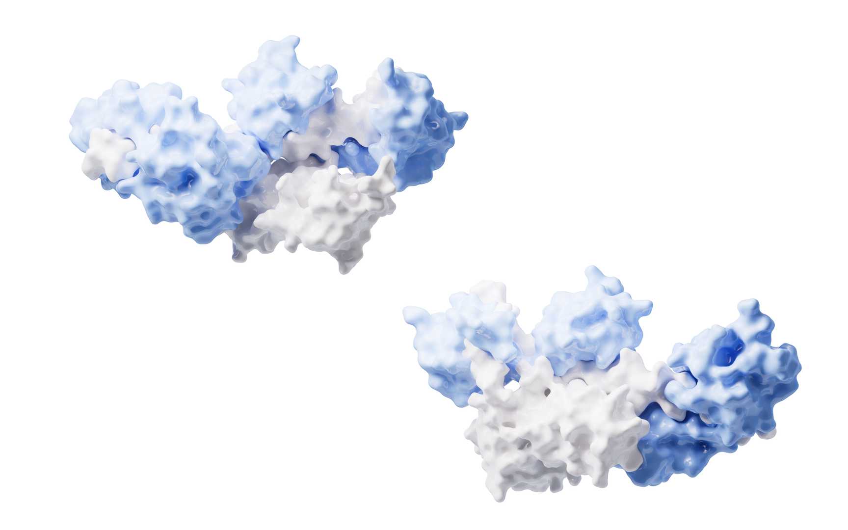 BsAbs for Protein Mimetic (Creative Biolabs Authorized)