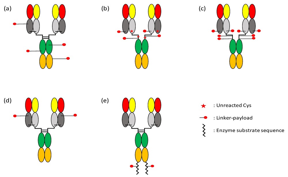 Fig.1 Different structures and methods of ADCs. (OA Literature)