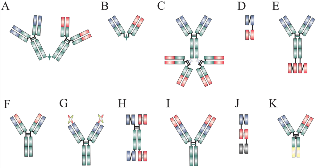This figure shows the structure of dual-targeting agents. (Schubert, I., 2012)