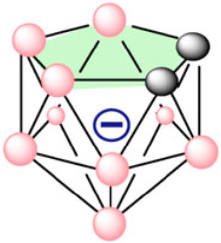 The structure of nido-carborane. (Tu, et al., 2021)