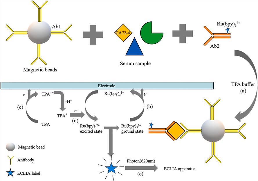 CA 72-4 in cancer diagnosis. (Xu, et al., 2021)