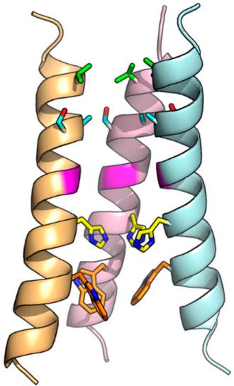 Fig 1. Three-dimensional structure of the M2 ion channel. (Manzoor, et al., 2017)