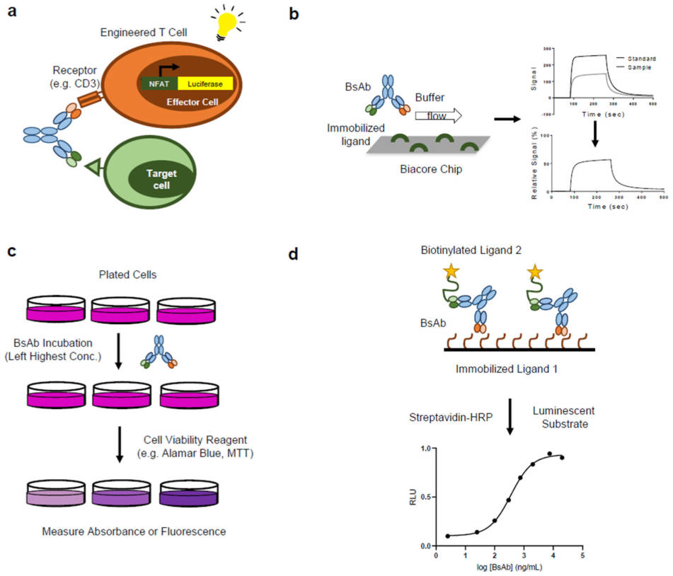 Fig. 1 Application of BsAbs for immunoassay.