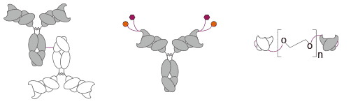 Fig.1 Chemical conjugated BsAbs . (Creative Biolabs Original)