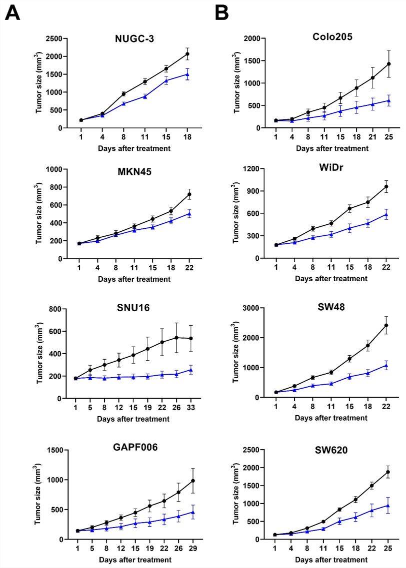 The BsAb exerted potent inhibition of tumor progression across diverse xenograft models of human gastric and colon cancers. (Yeom, et al., 2020)