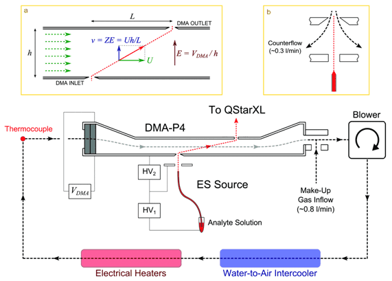 Schematic of the tandem DMA-MS system, with details of (a) DMA analysis region showing its operating principle and (b) interface between the ES source and the DMA (Fernández-García, J. 2014).