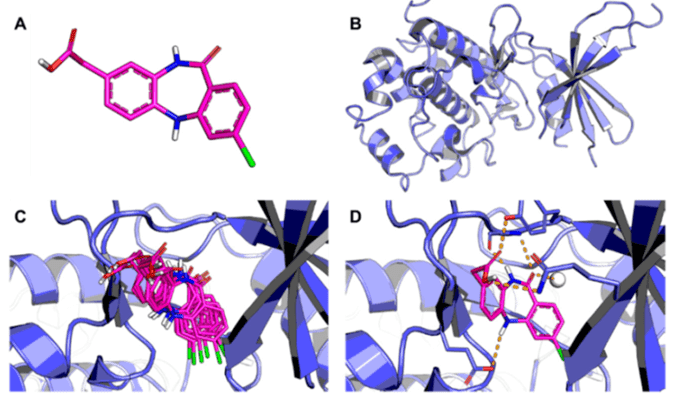 An outline of the molecular docking process. (A) shows a three-dimensional structure of the ligand; (B) shows the three-dimensional structure of the receptor; (C) shows that the ligand is docked into the binding cavity of the receptor with the putative conformations explored; (D) shows the most likely binding conformation (Ferreira, L. G., 2015).