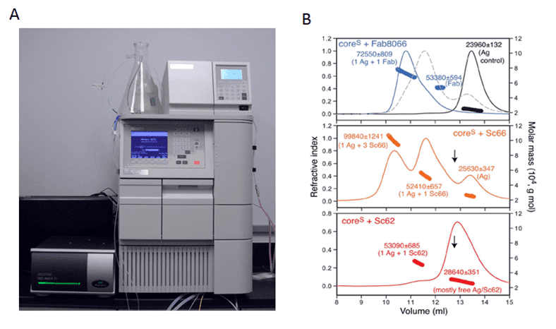 Fig. 1 SEC-MALS analysis.