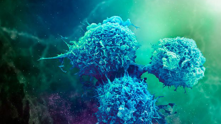 Allogeneic Cell Therapy