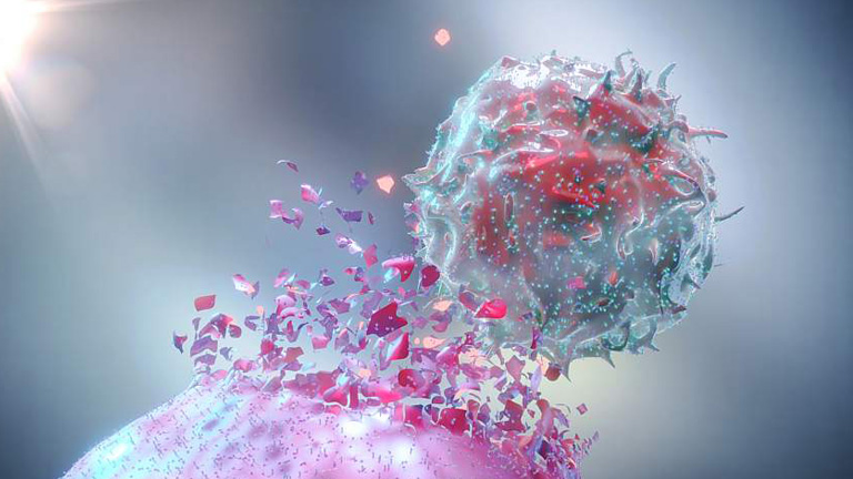 In Vivo CAR-T Development