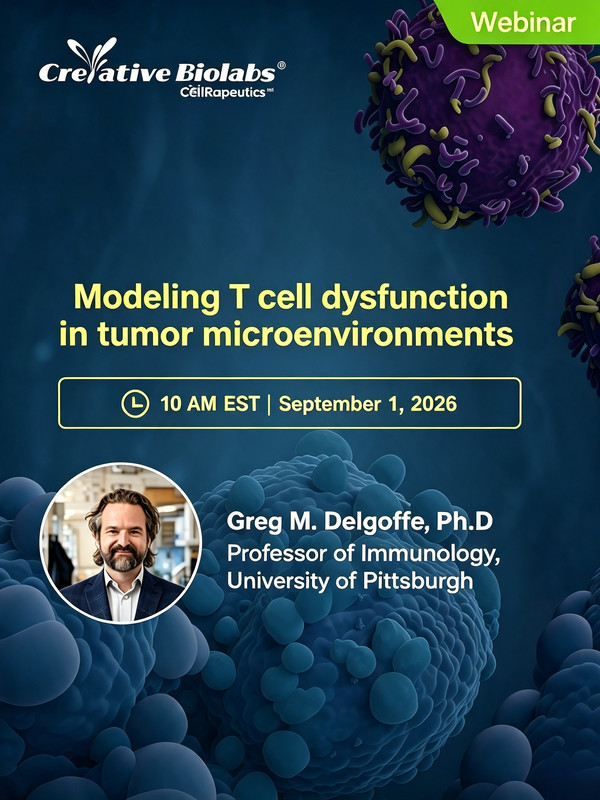 webinar