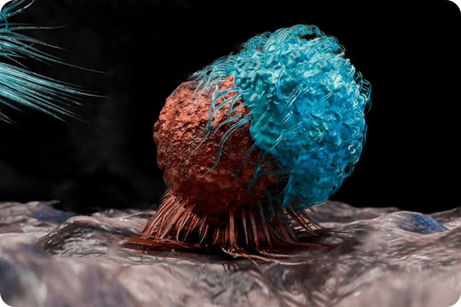 CAR-T Cell Development