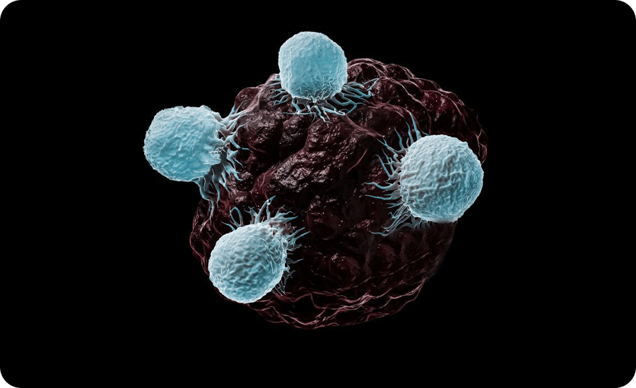 CAR-T for Solid Tumors