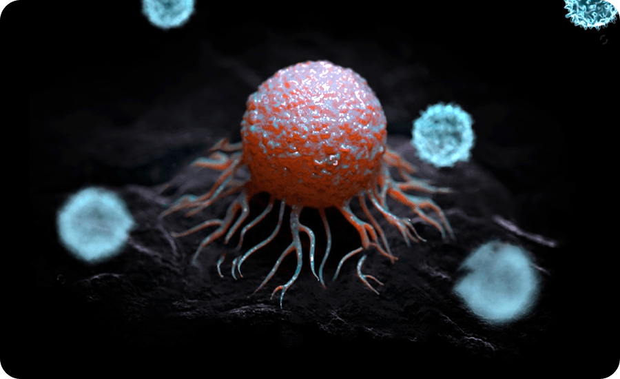 CAR-NK Cell Development
