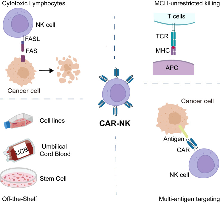 Fig.1 A variety of CAR cell therapies to destroy tumors. (OA Literature)