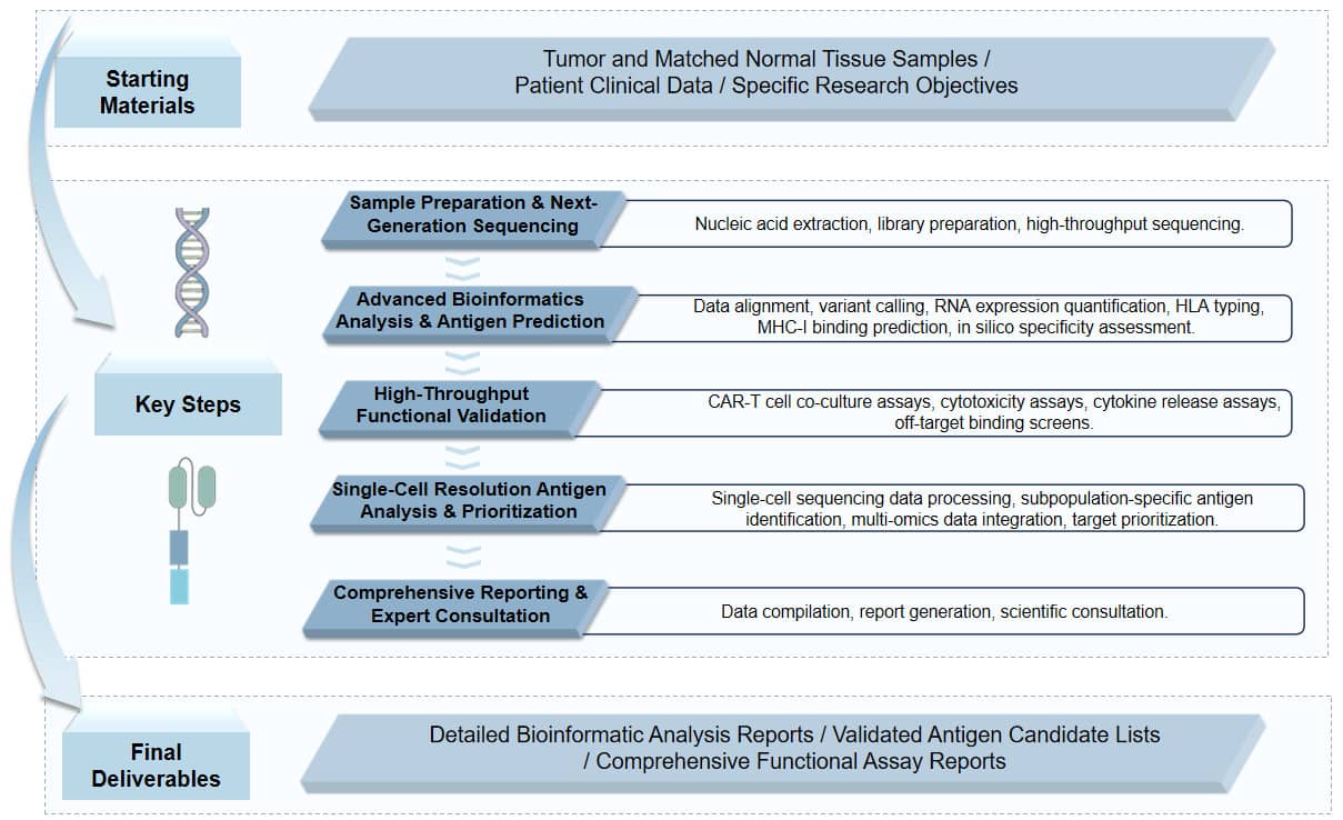 The workflow of CAR-T TSA screening service. (Creative Biolabs Original)