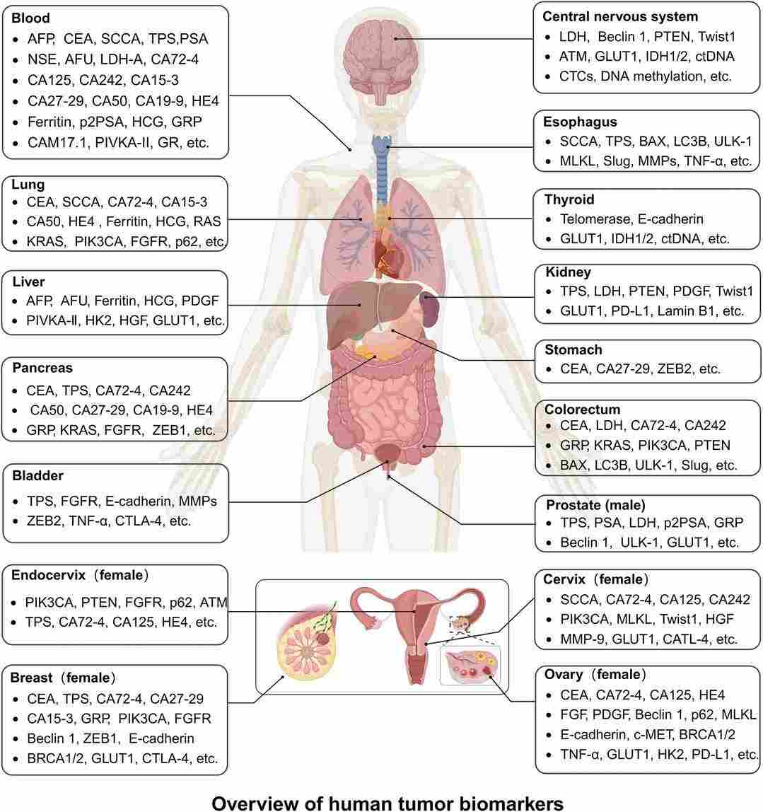 Fig.1 Classes of currently identified tumor biomarkers. (OA Literature)