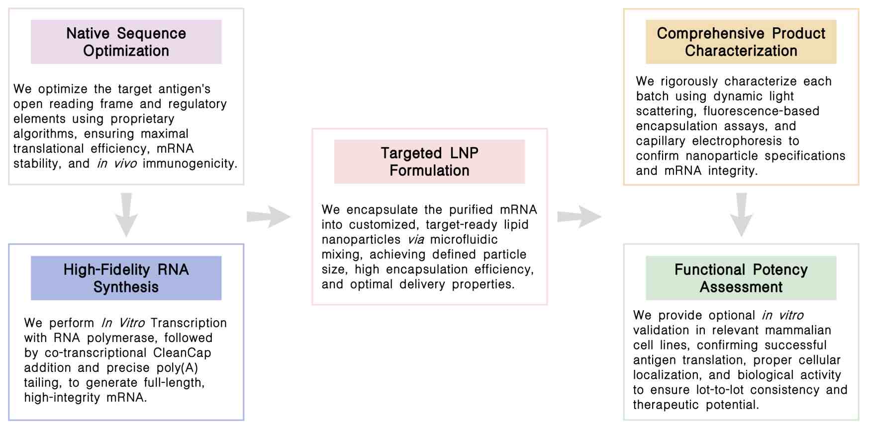 Workflow of ative antigen-encoded nanoparticulate RNA production service at Creative Biolabs. (Creative Biolabs Original)